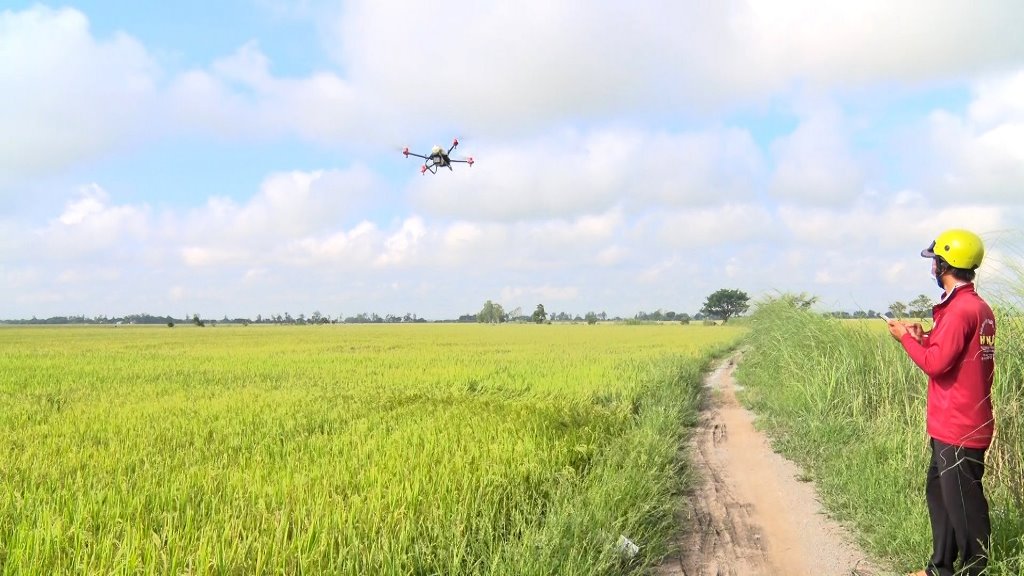 Máy bay không người lái bay lượn trên cánh đồng lúa An Giang, nông dân đứng trên bờ chỉ việc bấm điện thoại - Ảnh 2.