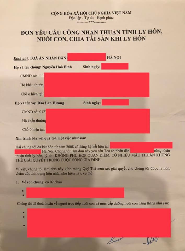 Shark Bình công bố đơn đồng thuận ly hôn, khẳng định hôn nhân không thể cứu vãn - Ảnh 2.