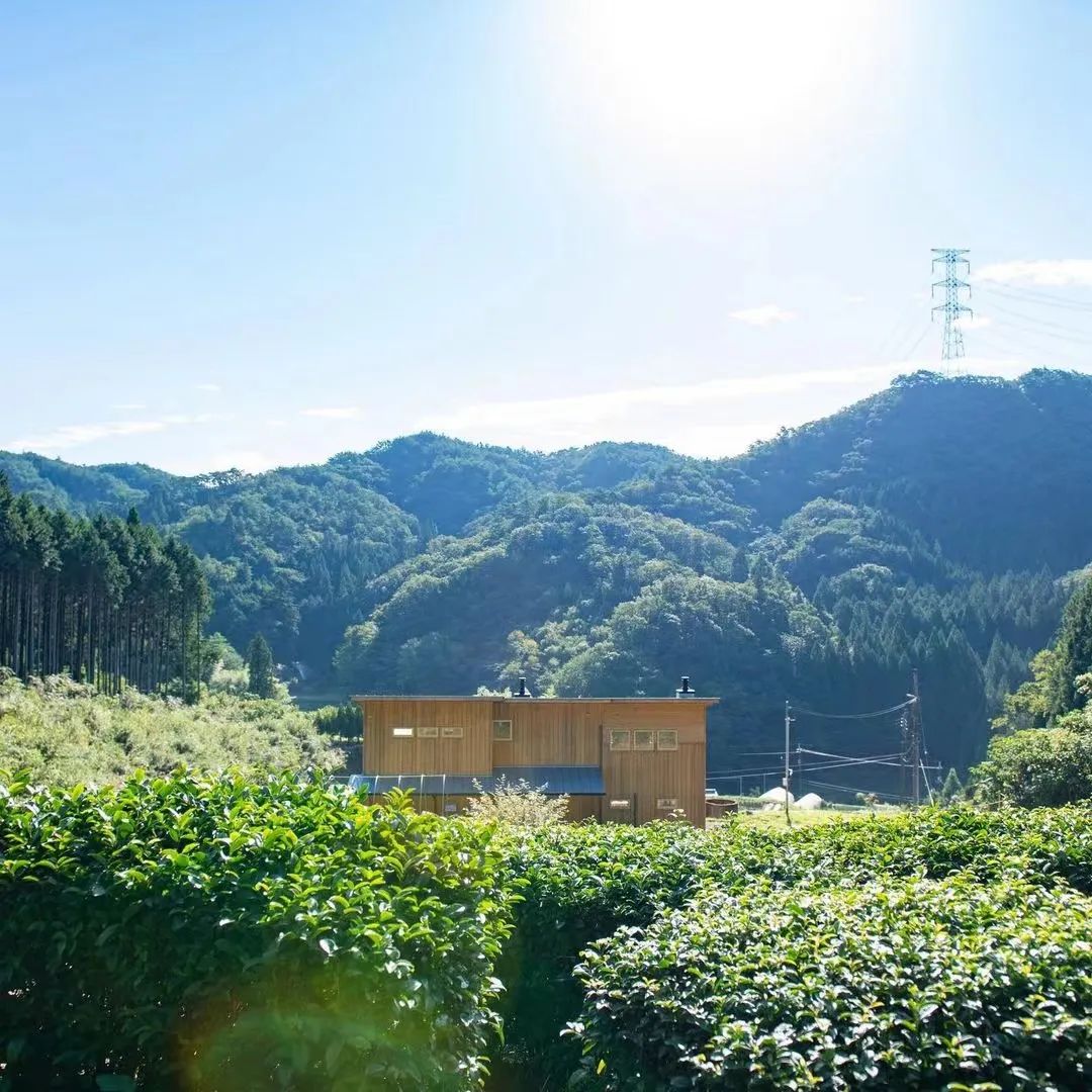 Thú vui điền viên của dân thành thị Nhật Bản: Thuê đất trồng rau, nghỉ việc về làm nông dân - Ảnh 5.