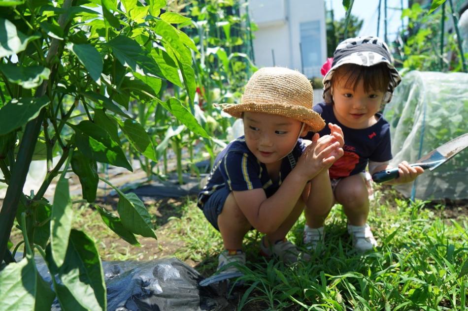 Thú vui điền viên của dân thành thị Nhật Bản: Thuê đất trồng rau, nghỉ việc về làm nông dân - Ảnh 9.