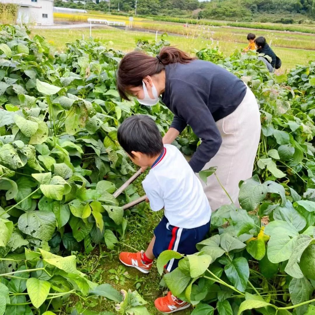 Thú vui điền viên của dân thành thị Nhật Bản: Thuê đất trồng rau, nghỉ việc về làm nông dân - Ảnh 10.