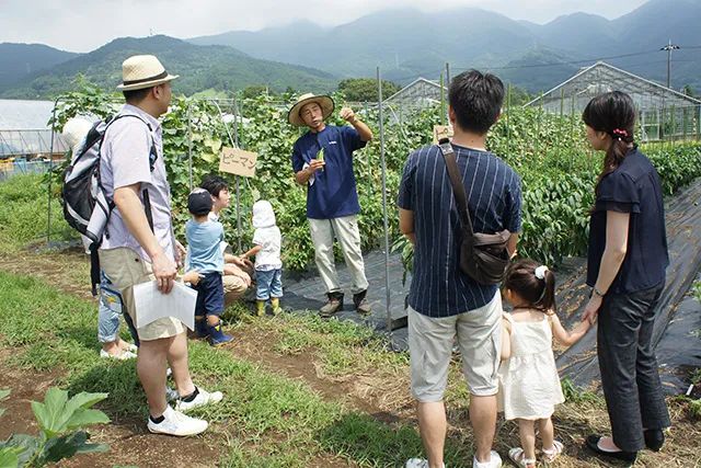 Thú vui điền viên của dân thành thị Nhật Bản: Thuê đất trồng rau, nghỉ việc về làm nông dân - Ảnh 11.