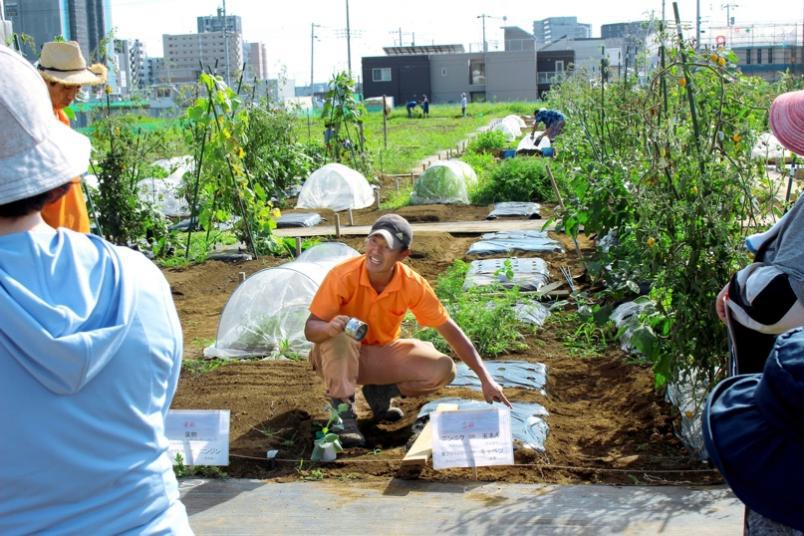 Thú vui điền viên của dân thành thị Nhật Bản: Thuê đất trồng rau, nghỉ việc về làm nông dân - Ảnh 12.