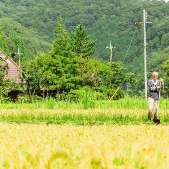 Thú vui điền viên của dân thành thị Nhật Bản: Thuê đất trồng rau, nghỉ việc về làm nông dân - Ảnh 15.