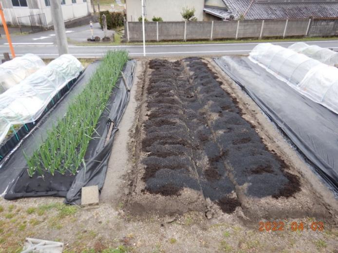 Thú vui điền viên của dân thành thị Nhật Bản: Thuê đất trồng rau, nghỉ việc về làm nông dân - Ảnh 16.