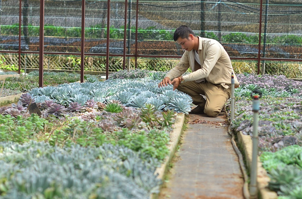 Ảnh ấn tượng tuần: Thu hoạch na trên núi và cao tốc xuyên biển ở Quảng Ninh - Ảnh 7.