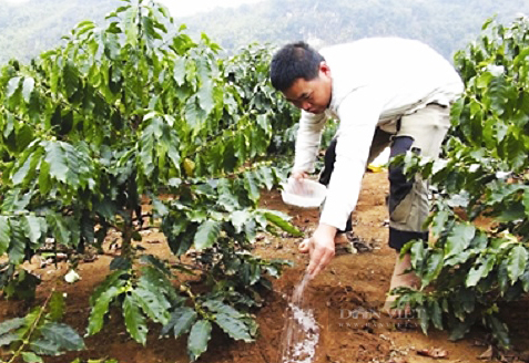  Loạn cơ sở kinh doanh vật tư nông nghiệp cơ quan chuyên môn cũng kêu khó kiểm soát - Ảnh 3.