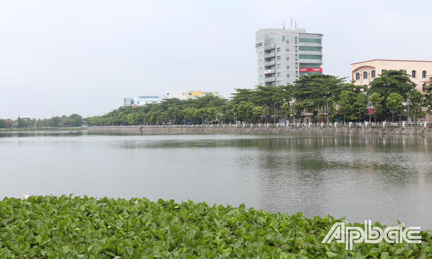 Vùng đất này của Tiền Giang có giếng nước khổng lồ - Ảnh 3.