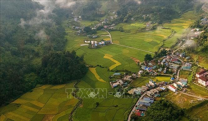 &quot;Dải lụa vàng&quot; ở thung lũng Mường Khương  - Ảnh 6.