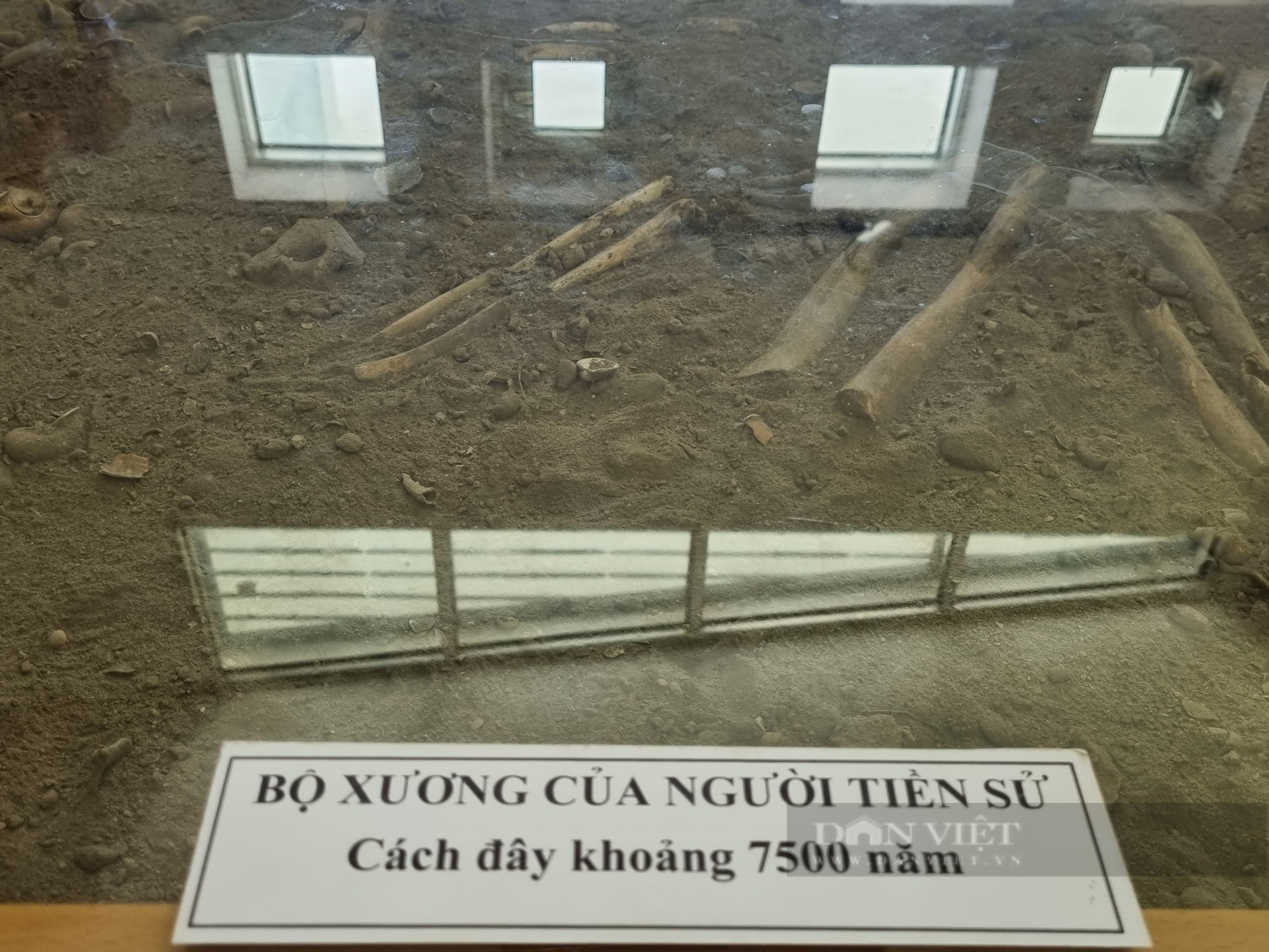 Bảo tàng Cúc Phương: Nơi lưu giữ bộ xương người tiền sử cách đây khoảng 7.500 năm - Ảnh 3.
