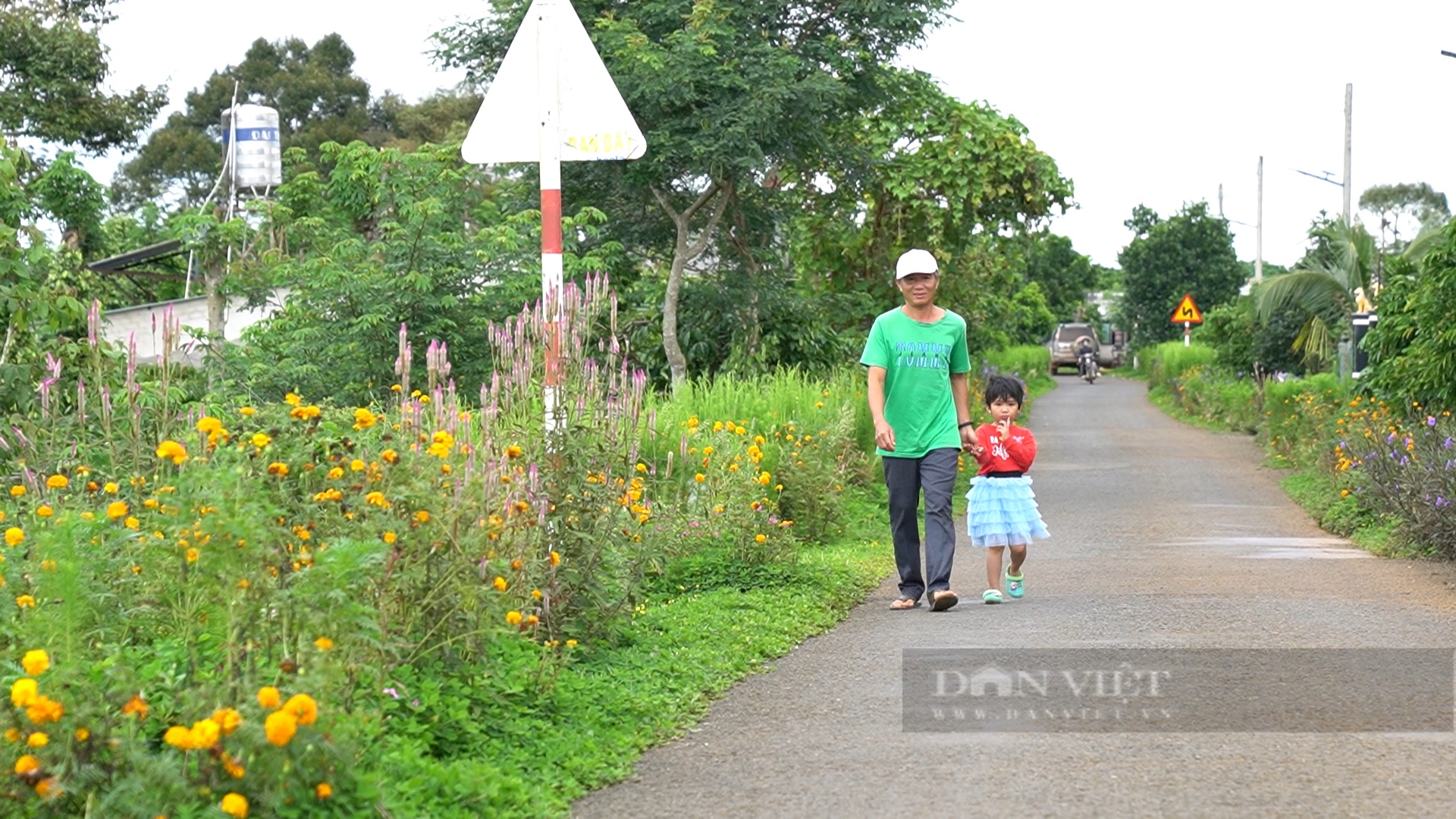 Con đường hoa ở Lộc An, chị em phụ nữ trong thôn cứ chủ nhật là gọi nhau đi trồng hoa, tỉa cỏ - Ảnh 3.