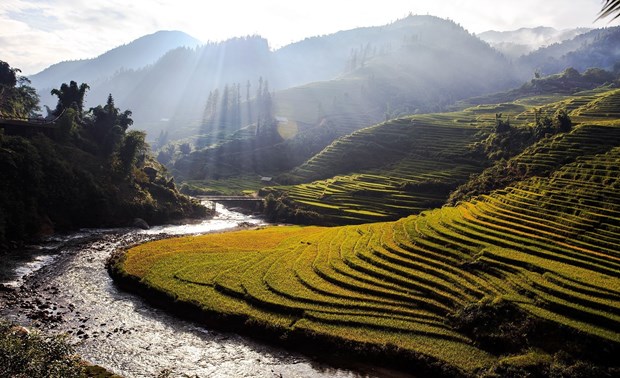 Ruộng bậc thang vào mùa lúa chín đẹp như phim đang gây &quot;sốt rần rần&quot; ở Sa Pa - Ảnh 6.