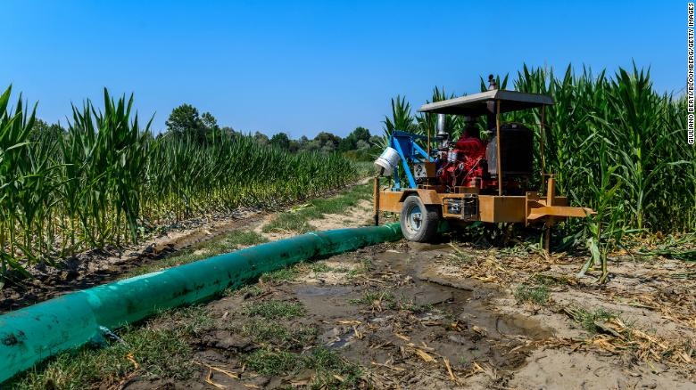 Không chỉ ở Việt Nam, nông dân toàn thế giới cũng gặp khó vì giá xăng dầu - Ảnh 3.