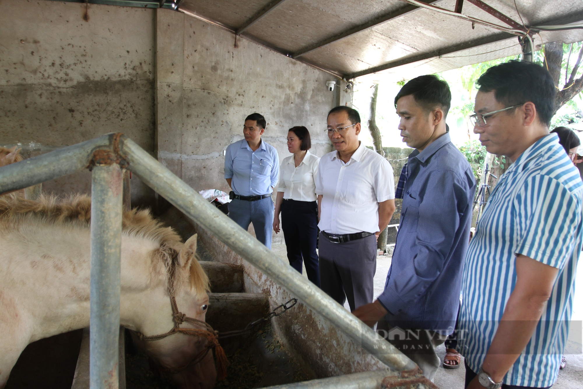 Hội nông dân tỉnh Thái Nguyên thẩm định các hộ đạt danh hiệu nông dân sản xuất kinh doanh giỏi cấp tỉnh năm 2022 - Ảnh 3.