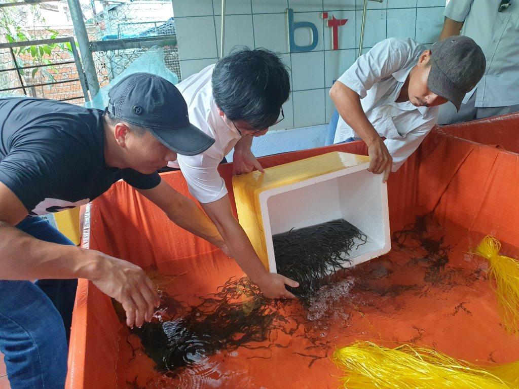 Mô hình nuôi lươn không bùn trong bể lót bạt ở Phú Yên - Ảnh 1.
