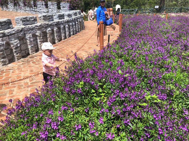 Hấp dẫn trải nghiệm “từ rừng xuống biển” thời bình thường mới với Đà Lạt - Nha Trang - Ảnh 5.