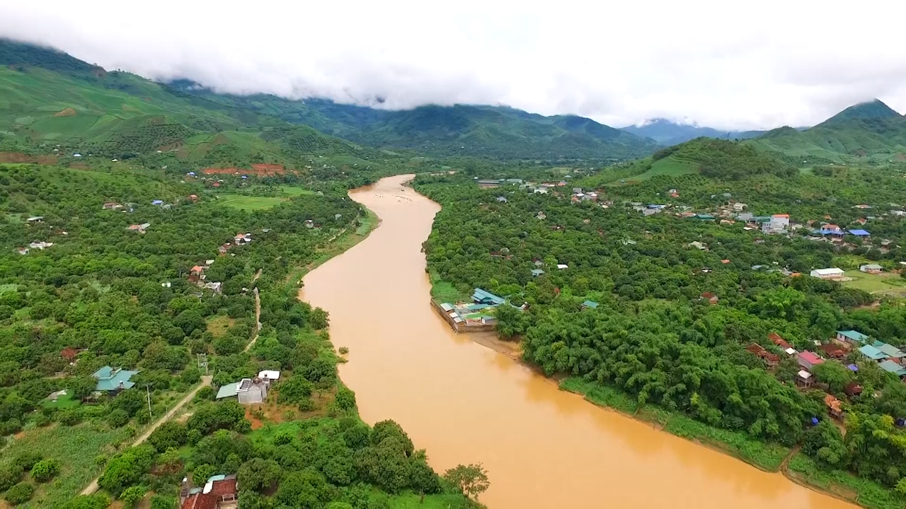 Sông Mã: Nông dân thành triệu phú nhờ cây nhãn - Ảnh 2.