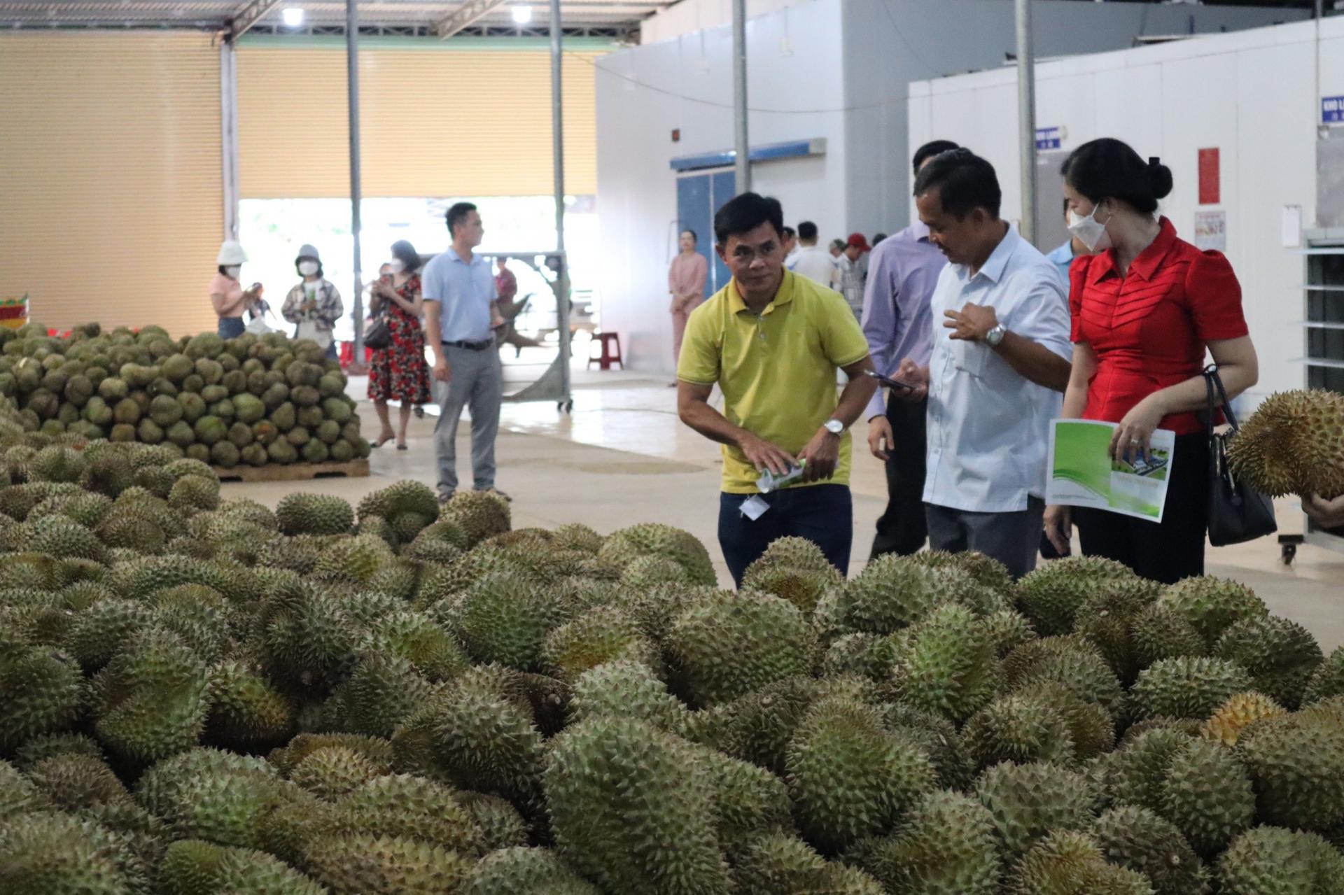 Trung Quốc chi 10,3 tỷ USD mua trái cây, Việt Nam chiếm 9,5% trong số này - Ảnh 1.