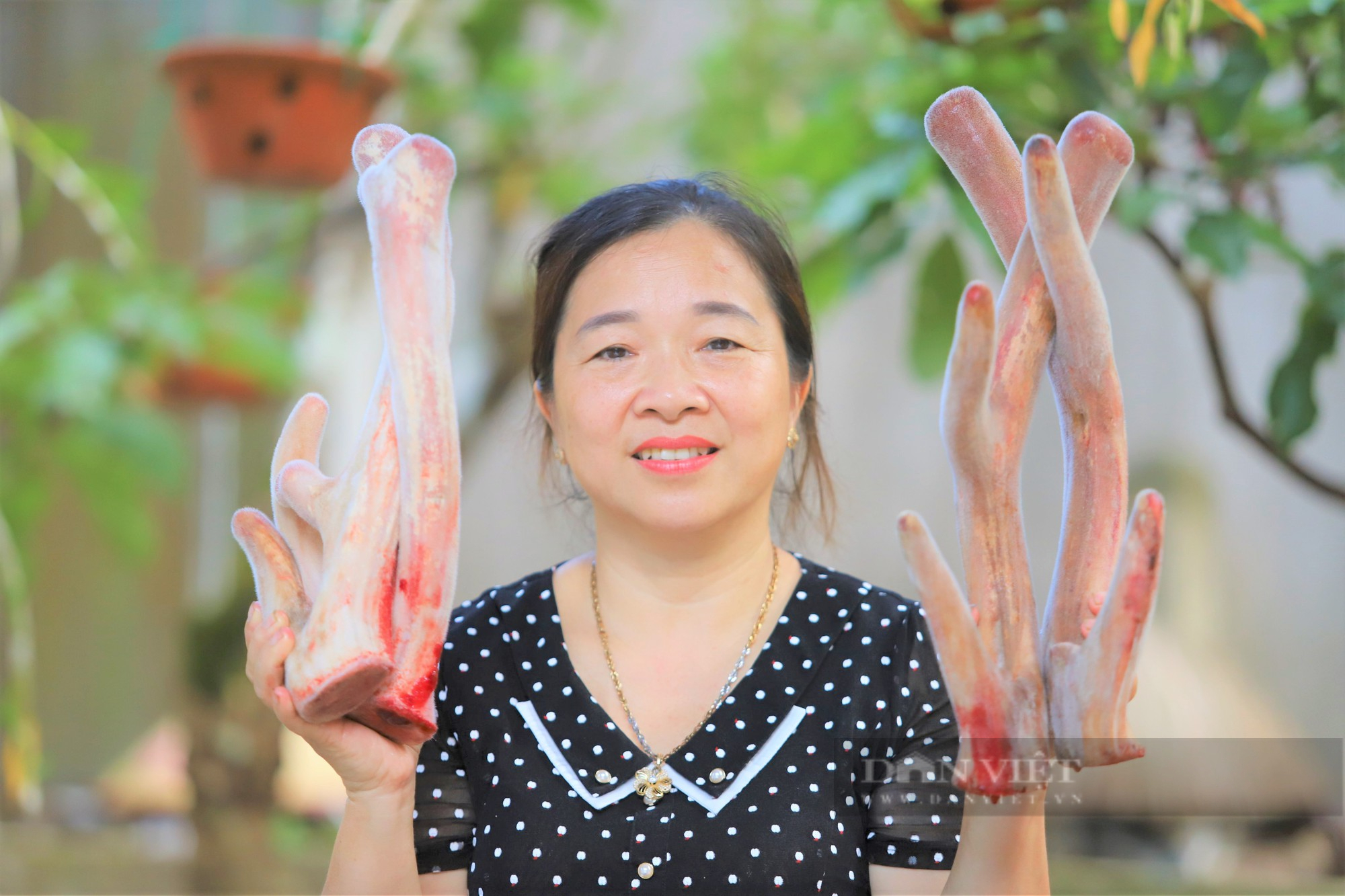 Hà Tĩnh: Trở thành Nông dân Việt Nam xuất sắc 2022 cũng nhờ nuôi loài thú đội thứ “đại bổ” trên đầu - Ảnh 2.