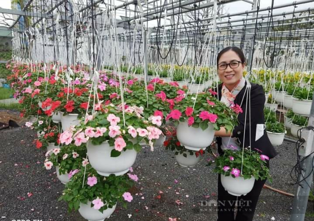 Hơn 10 năm trồng hoa treo mini, một nông dân Đà Nẵng trở thành Nông dân Việt Nam xuất sắc 2022 - Ảnh 14.