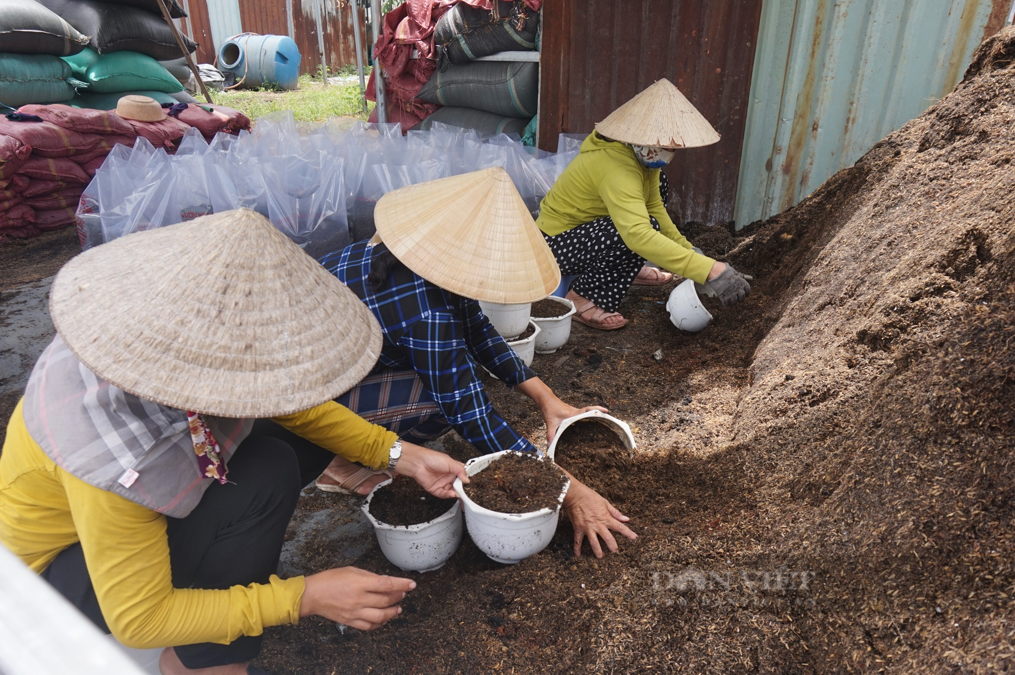 Hơn 10 năm trồng hoa treo mini, một nông dân Đà Nẵng trở thành Nông dân Việt Nam xuất sắc 2022 - Ảnh 3.