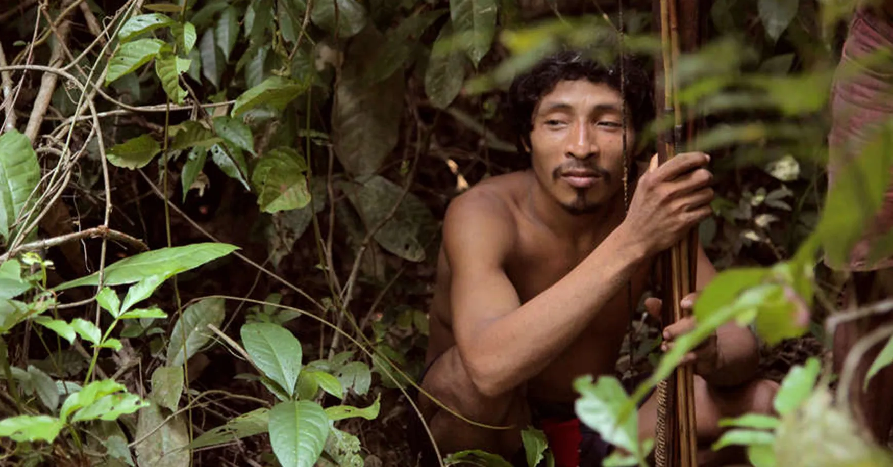 Một người đàn ông chết, cả bộ tộc nguyên thủy sống trong rừng nhiệt đới Amazon biến mất