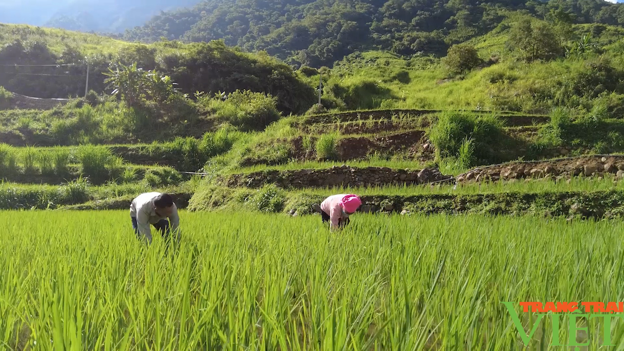 Sơn La: Tiếp bước truyền thống trên quê hương cách mạng - Ảnh 4.