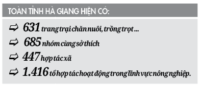 gop/ Nông dân giỏi đưa ấm no về cao nguyên đá - Ảnh 3.