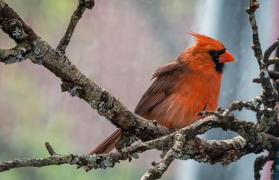 Sinh ngày Âm lịch này có năng lực chuyển bại thành thắng, sự nghiệp thăng tiến, tiền tài không lo - Ảnh 3.