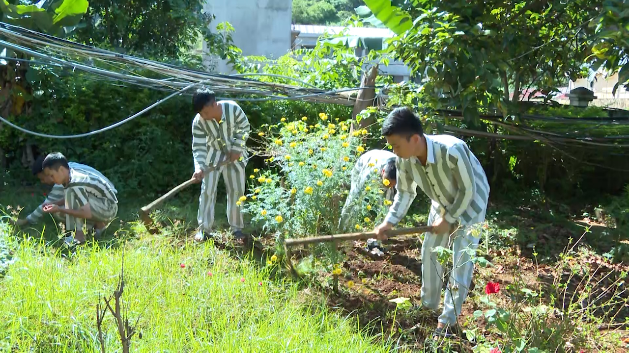 Ngóng đợi ngày về của các phạm nhân được đặc xá - Ảnh 5.