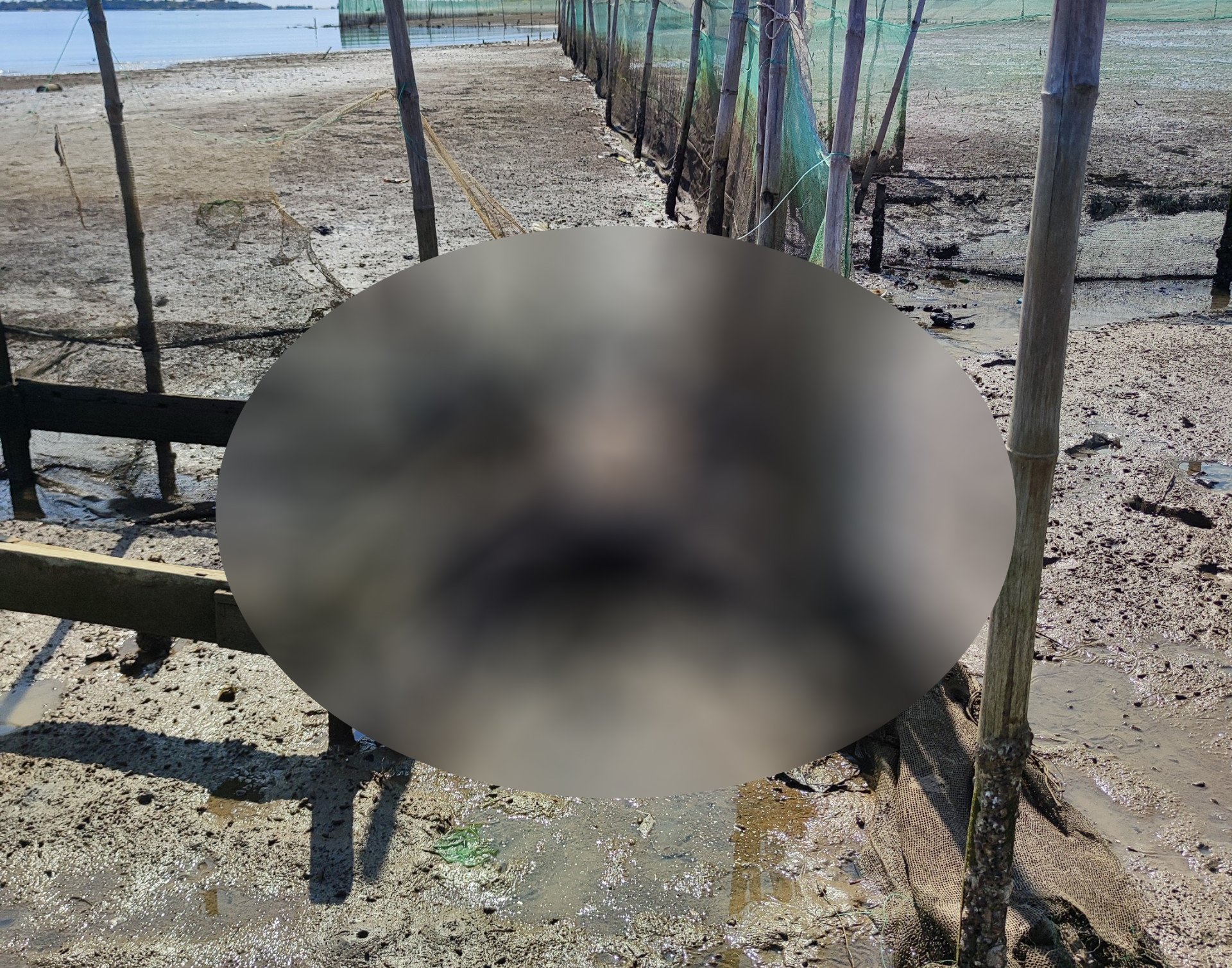 Quảng Bình: Phát hiện thi thể người đàn ông trong quá trình phân hủy trôi dạt vào bờ sông Gianh - Ảnh 1.