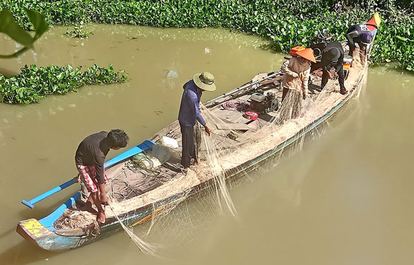 Sản vật nước nổi ở miền Tây đã bước vào mùa, ngoài cua, ếch, lươn đồng thì còn có rắn - Ảnh 1.