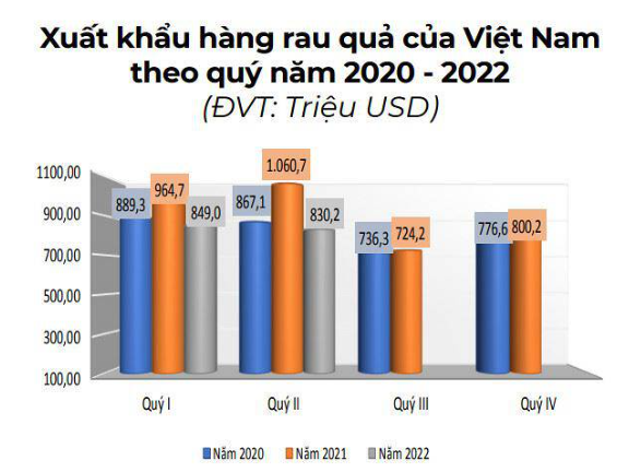 Xuất khẩu rau quả Việt Nam sẽ khởi sắc từ nay tới cuối năm - Ảnh 2.