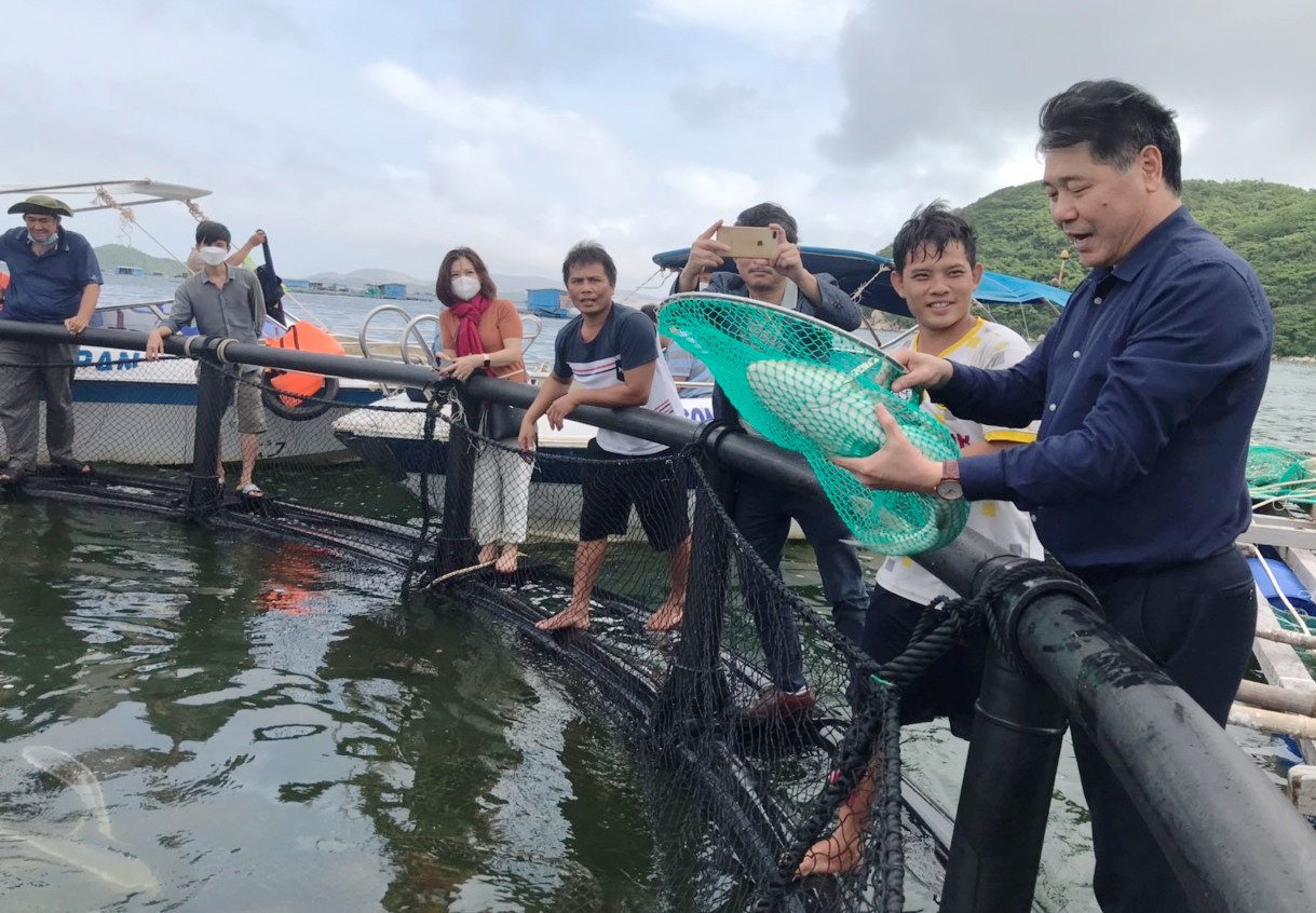 Khánh Hòa: Nuôi thủy sản bằng lồng HDPE, cá phát triển nhanh, ít dịch bệnh - Ảnh 1.