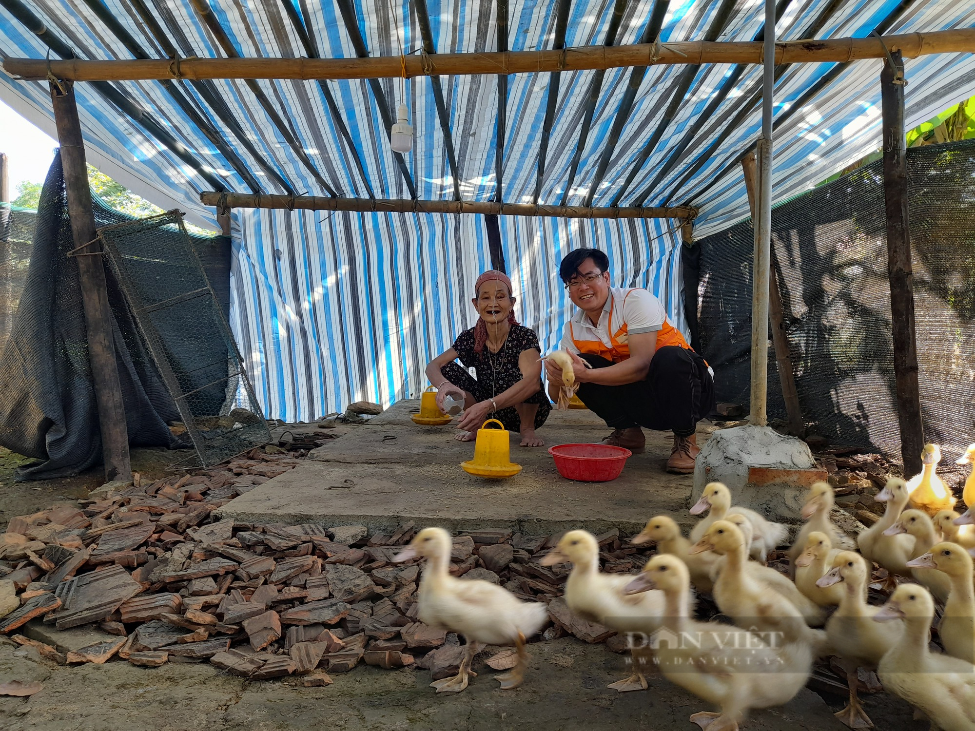 Nông dân nghèo Thanh Hóa tăng thu nhập nhờ được hỗ trợ chăn nuôi vịt theo chuỗi giá trị - Ảnh 4.