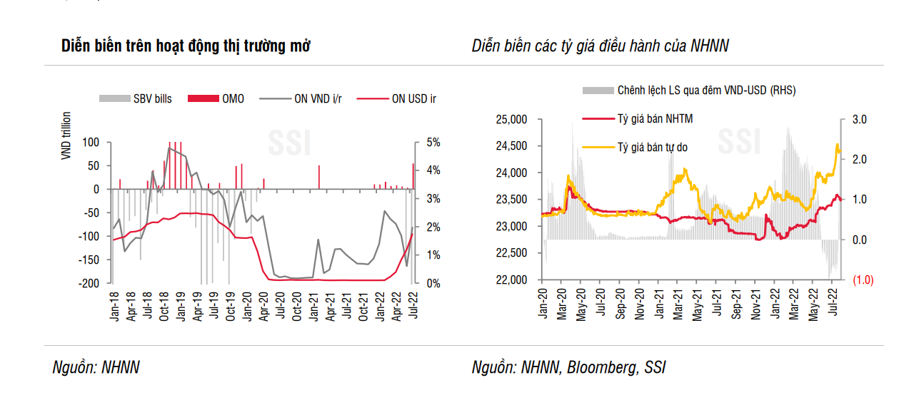 SSI Research: Tăng trưởng tín dụng 2022 ước tính dao động từ 15-16% - Ảnh 2.