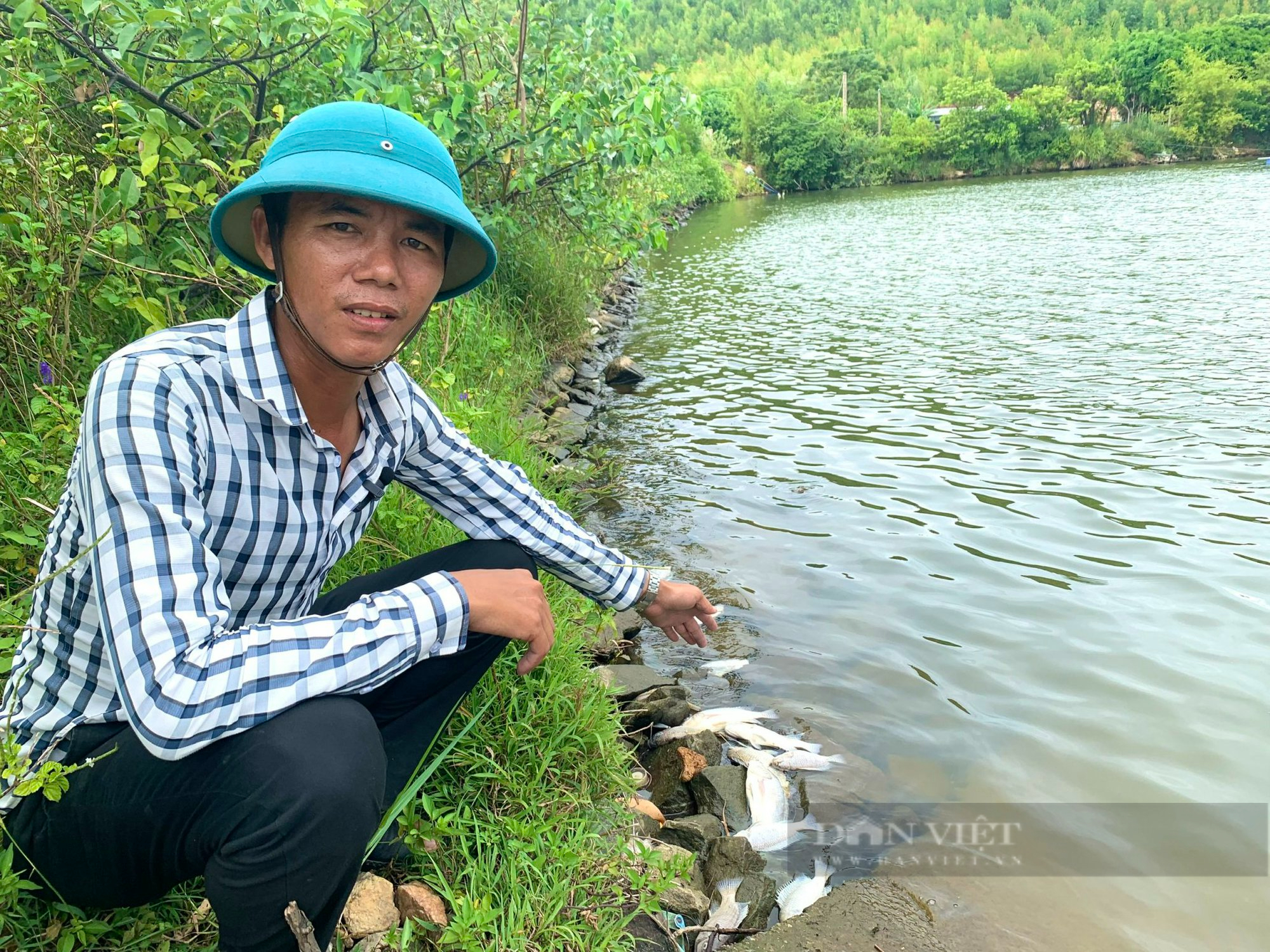 Quảng Bình: Cá chết hàng loạt trong hồ nước cạnh dự án Nhiệt điện Quảng Trạch - Ảnh 3.