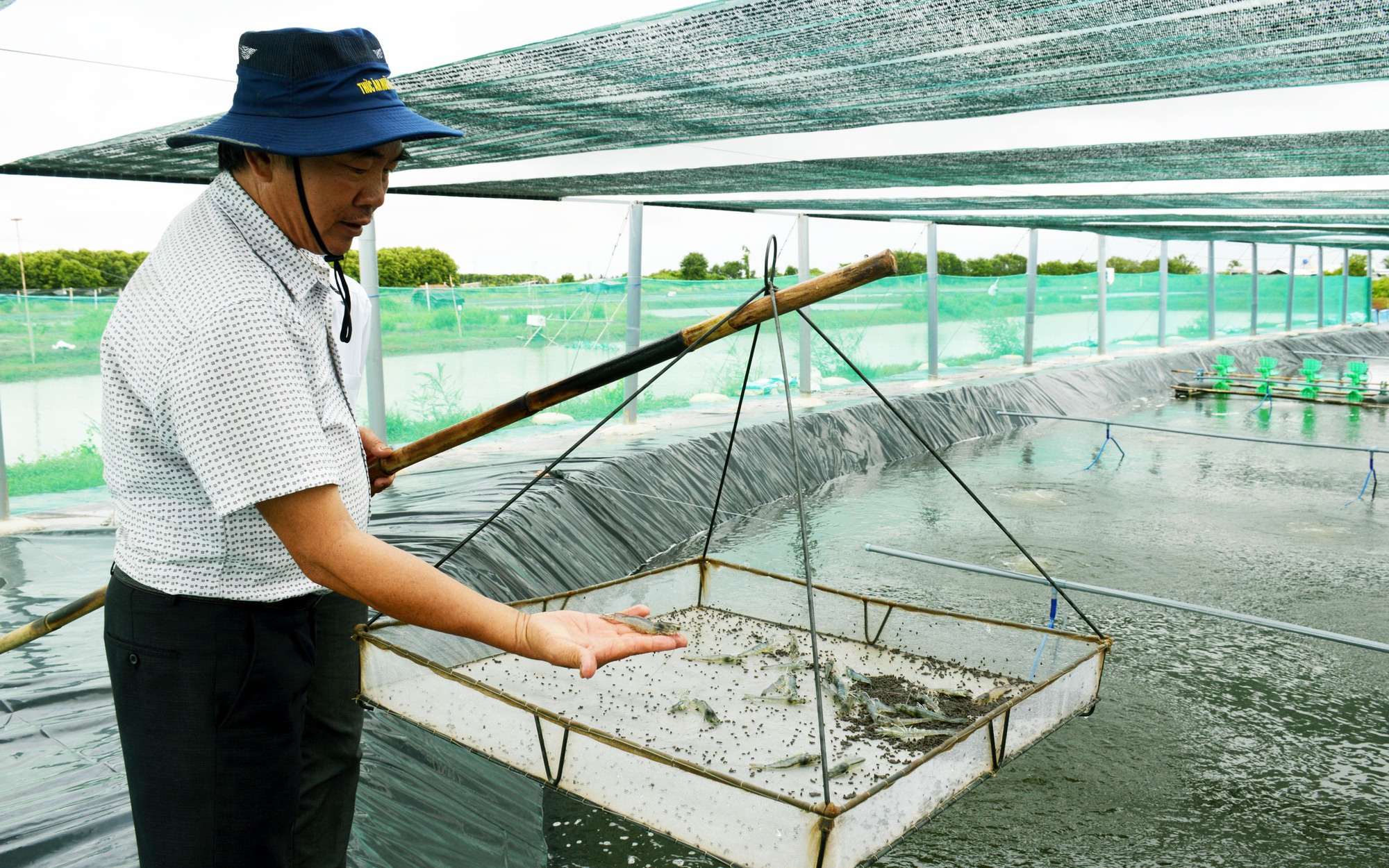 Nuôi tôm công nghệ cao thu tiền tỷ, nông dân Bạc Liêu được bình chọn danh hiệu "Nông dân Việt Nam xuất sắc 2022"