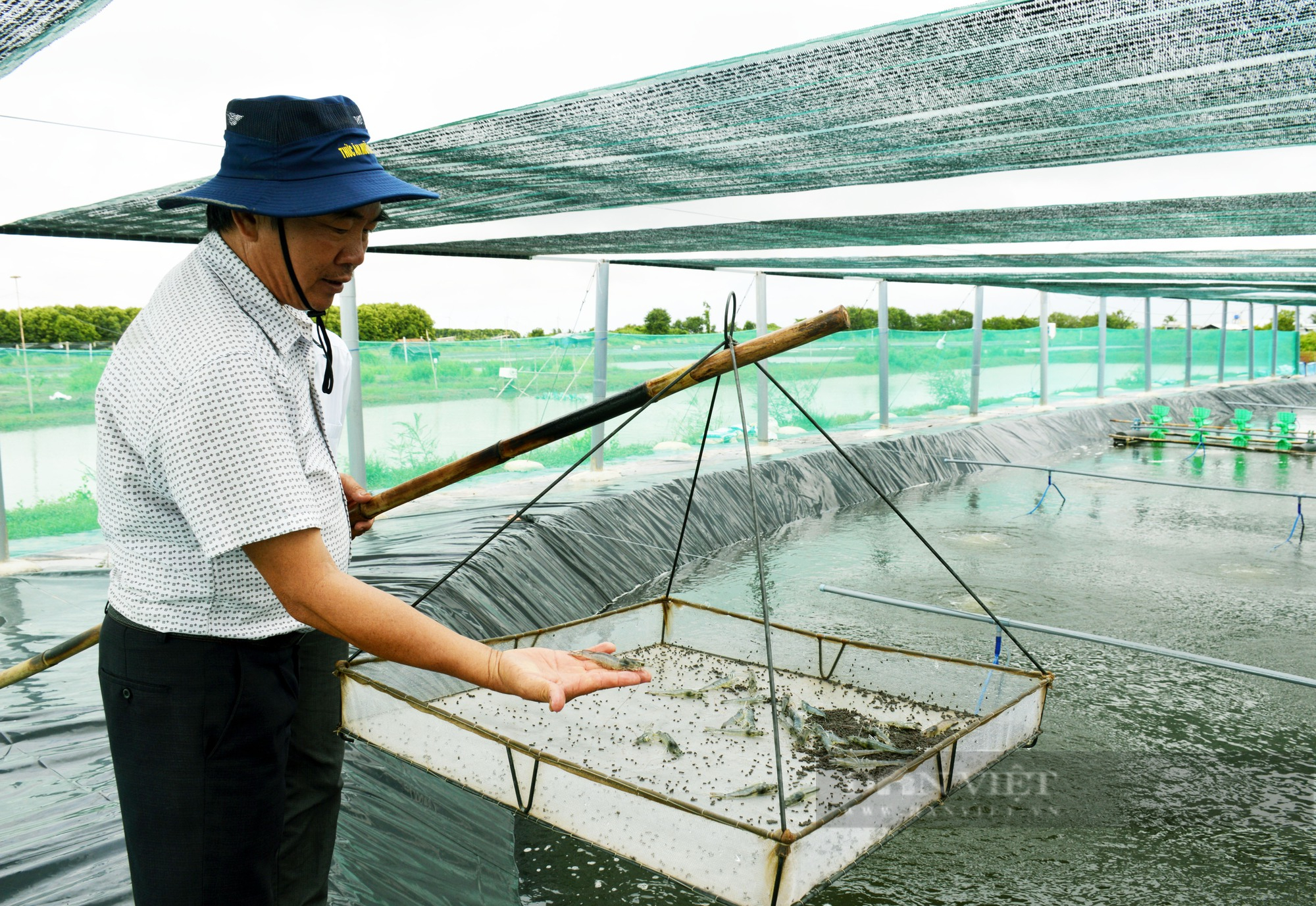 Người đàn ông miền Trung làm giàu từ nuôi tôm công nghệ cao tại Bạc Liêu - Ảnh 5.