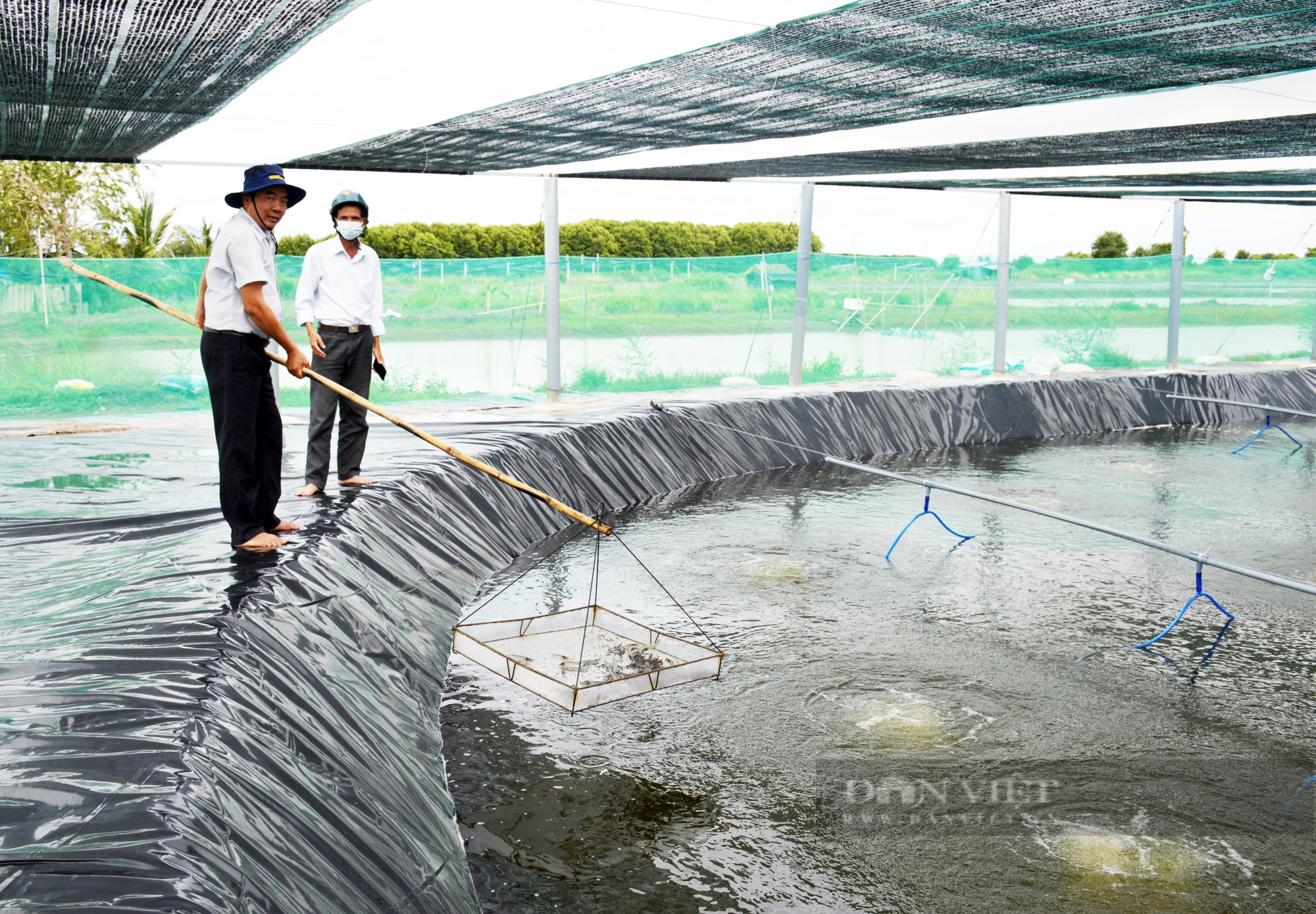 Người đàn ông miền Trung làm giàu từ nuôi tôm công nghệ cao tại Bạc Liêu - Ảnh 4.