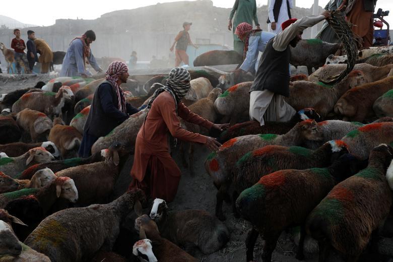 Hình ảnh chân thực và mới nhất về cuộc sống của người Afghanistan dưới thời Taliban - Ảnh 4.