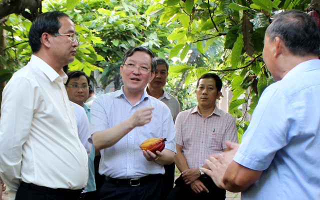 Chủ tịch Trung ương Hội Nông dân Việt Nam: Nông dân Việt Nam xuất sắc là thành tố quan trọng thúc đẩy liên kết