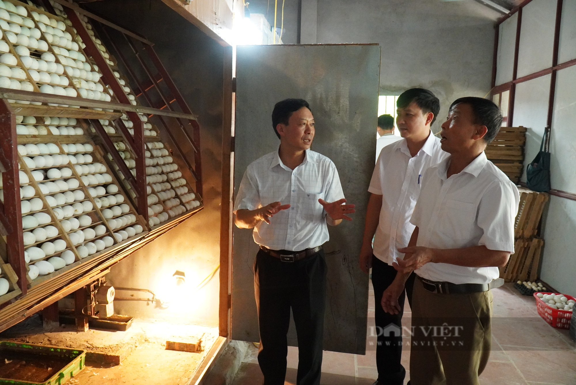 Hàng trăm nông dân sản xuất kinh doanh giỏi ở Bắc Giang có thu nhập trên 1 tỷ đồng/năm - Ảnh 1.