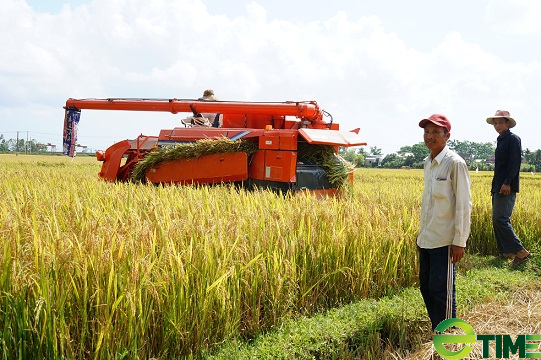 Quảng Nam: Đầu tư 1.301 tỷ đồng cho xây dựng Nông thôn mới - Ảnh 3.