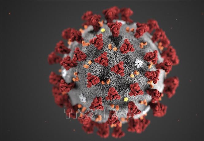Giải pháp mới giúp điều trị hiệu quả các biến thể của virus SARS-CoV-2 - Ảnh 1.