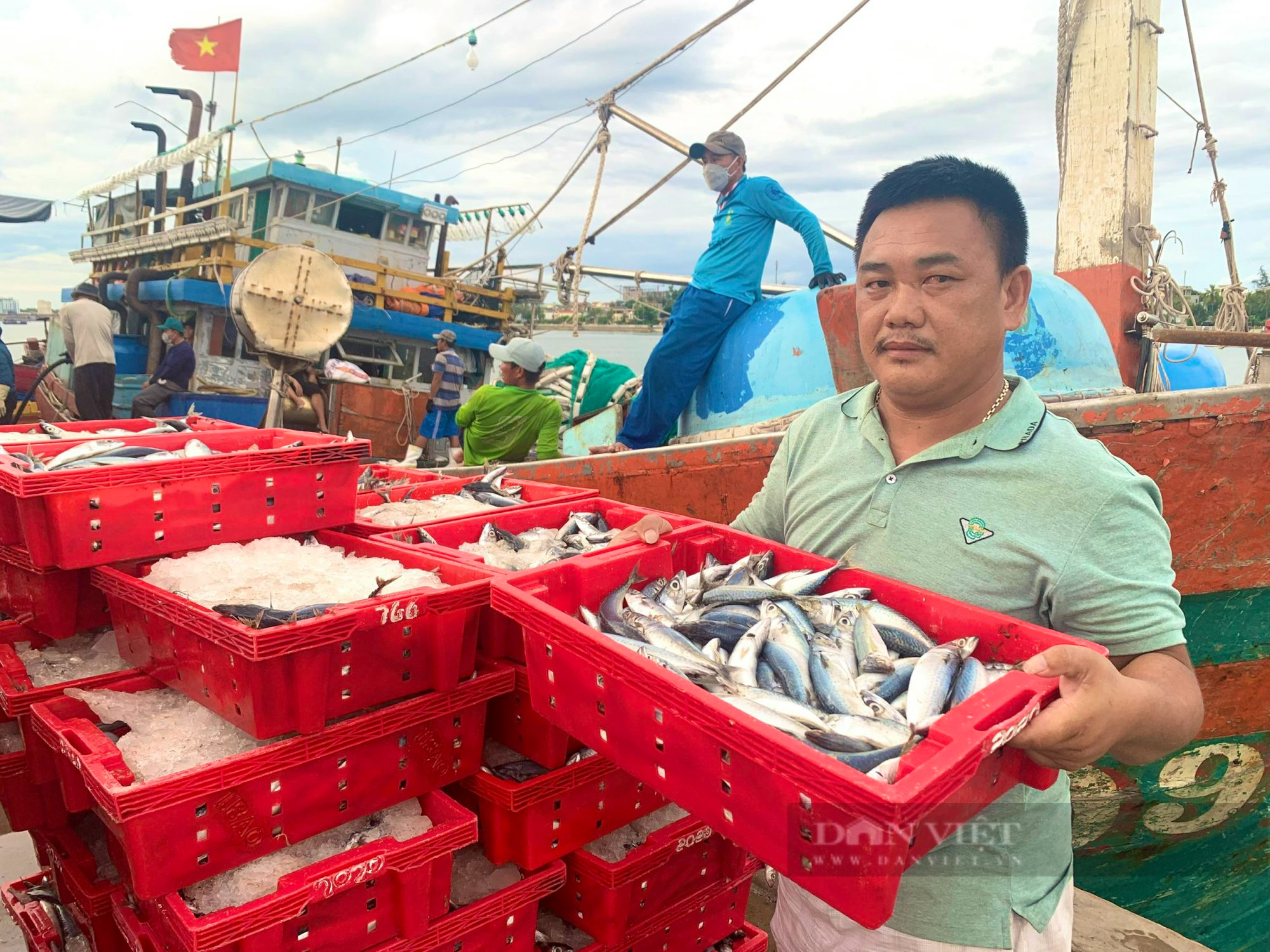 Một tàu cá ở Quảng Bình ra khơi trúng đậm 250 tấn cá nục, thu về 2,4 tỷ đồng - Ảnh 4.