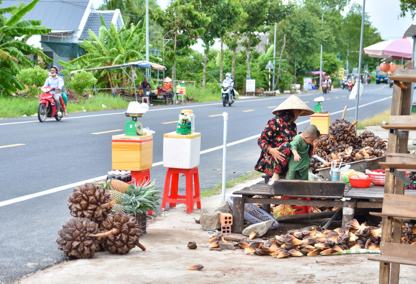 Dân Miệt Thứ sống khỏe với nghề bán trái dừa nước - Ảnh 14.