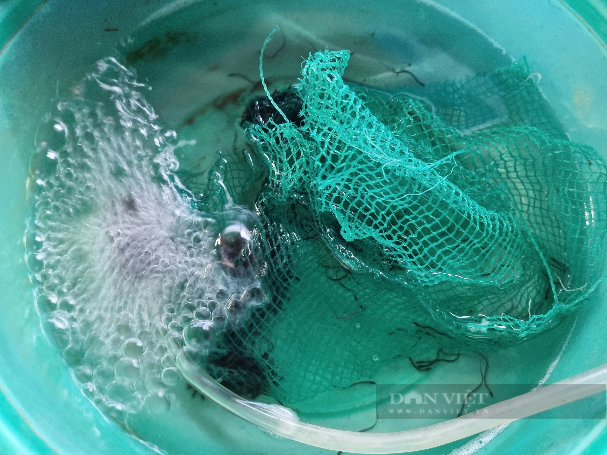 8X Ninh Bình chia sẻ kỹ thuật nuôi con lươn không bùn lãi trăm triệu mỗi năm - Ảnh 8.