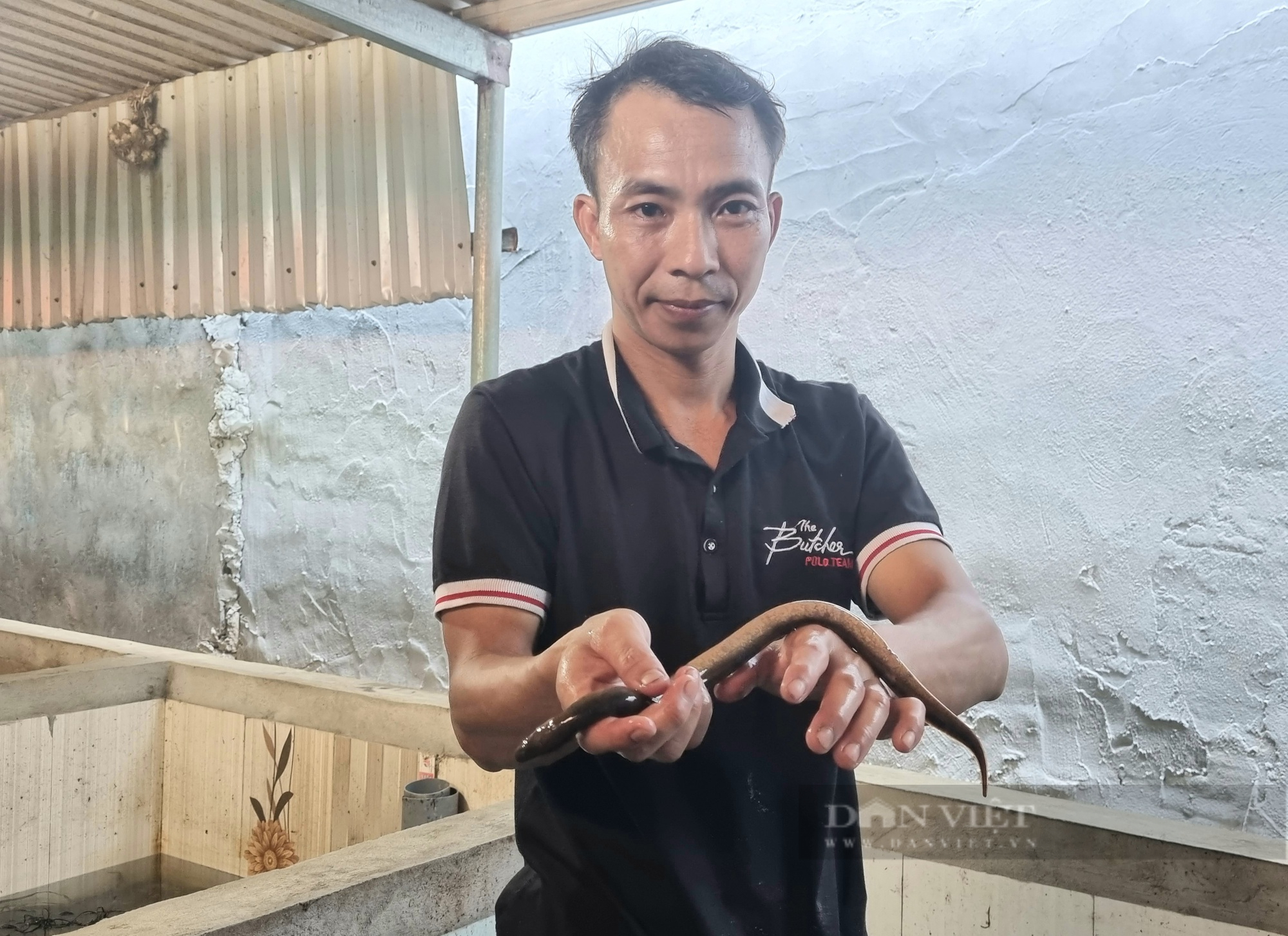 8X Ninh Bình chia sẻ kỹ thuật nuôi con lươn không bùn lãi trăm triệu mỗi năm - Ảnh 9.