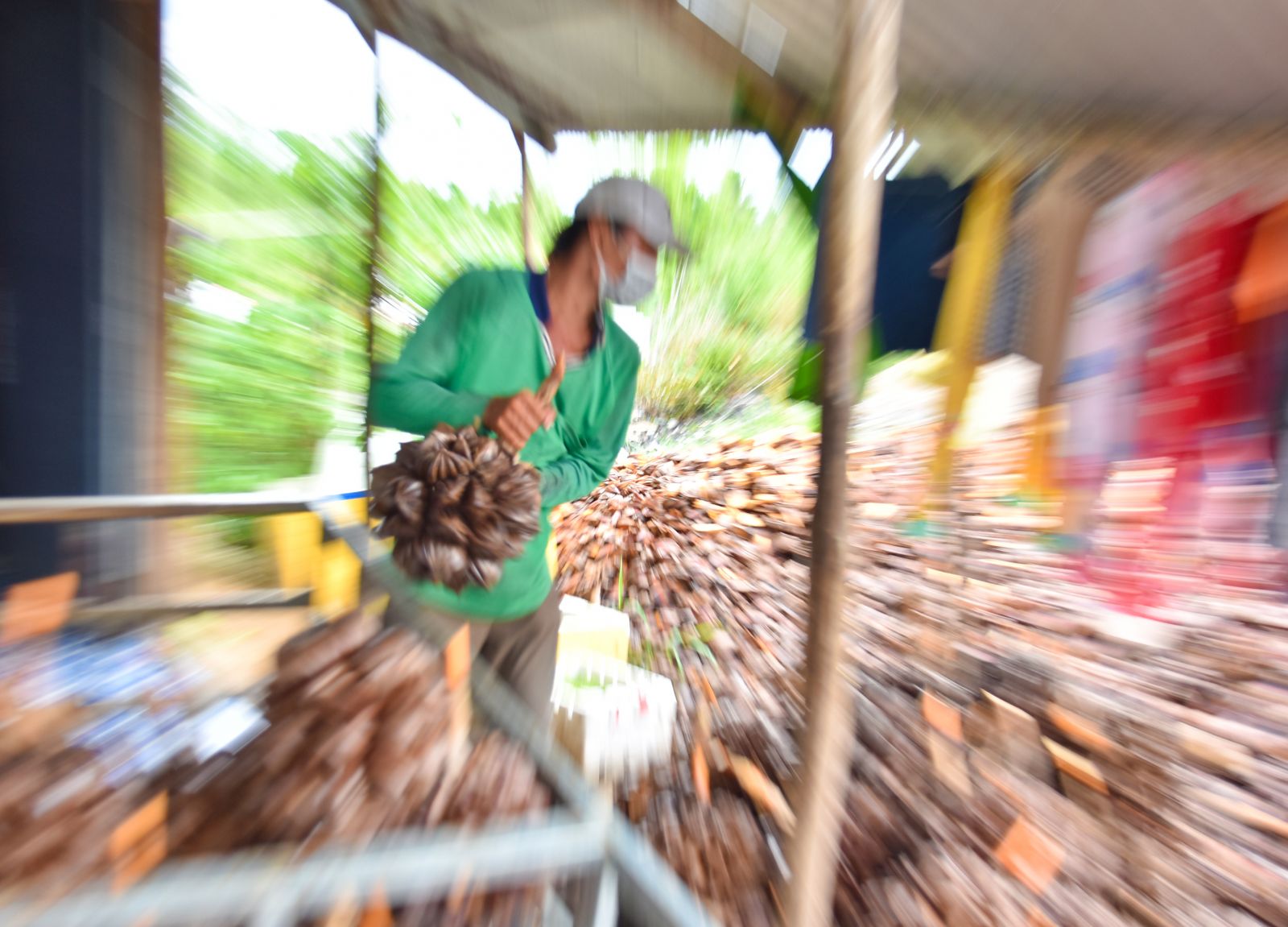 Dân Miệt Thứ sống khỏe với nghề bán trái dừa nước - Ảnh 6.